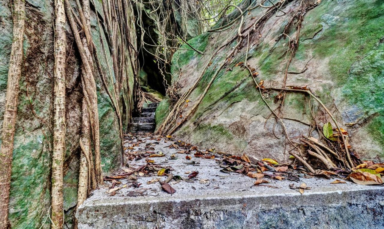 Treebo Tryst Jathika Resorts Kozhikode Eksteriør bilde