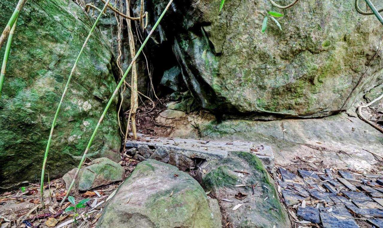 Treebo Tryst Jathika Resorts Kozhikode Eksteriør bilde
